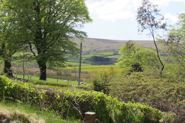 View from The Shed, Langworthy Farm Self Catering, Dartmoor